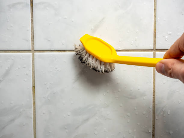 Best Mold Remediation  in Eagle Pass, TX