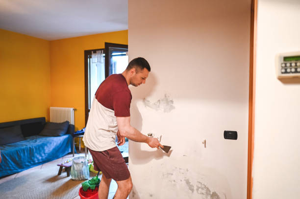  Eagle Pass, TX Mold Removal Pros